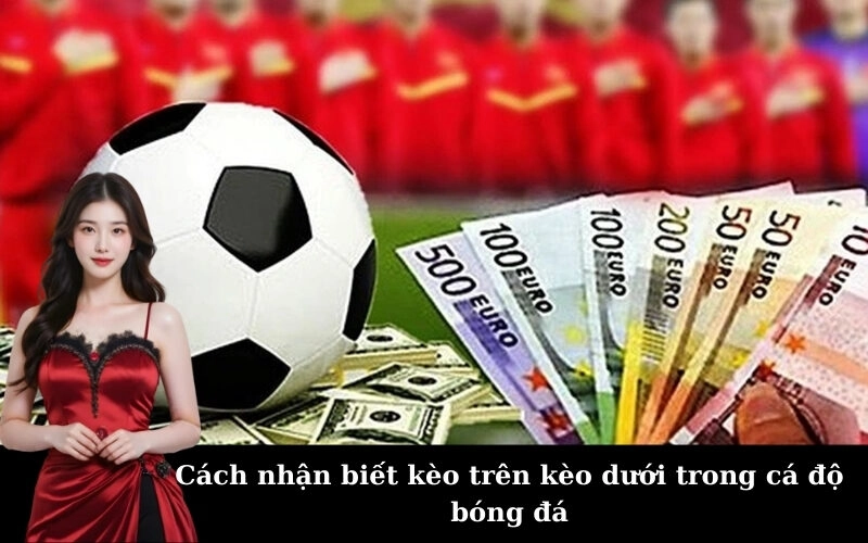 Cách nhận biết kèo trên kèo dưới trong cá độ bóng đá