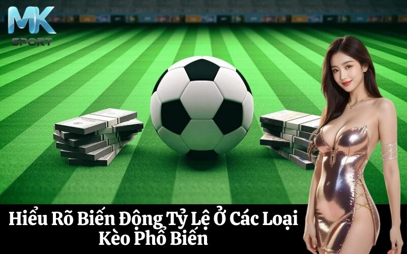 Hiểu Rõ Biến Động Tỷ Lệ Ở Các Loại Kèo Phổ Biến
