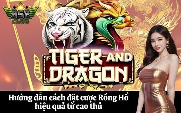 Hướng dẫn cách đặt cược Rồng Hổ hiệu quả từ cao thủ