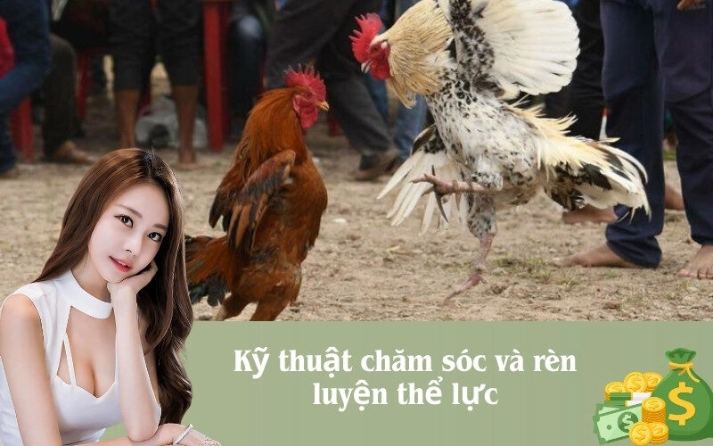 Kỹ thuật chăm sóc và rèn luyện thể lực