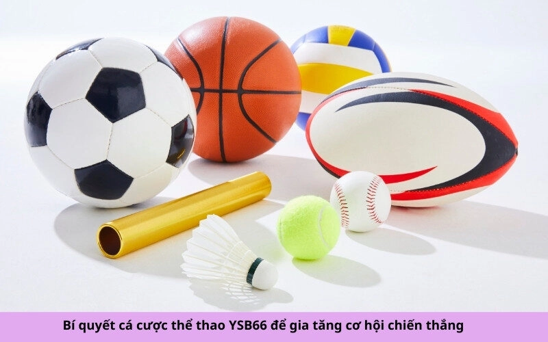 Bí quyết cá cược thể thao YSB66 để gia tăng cơ hội chiến thắng