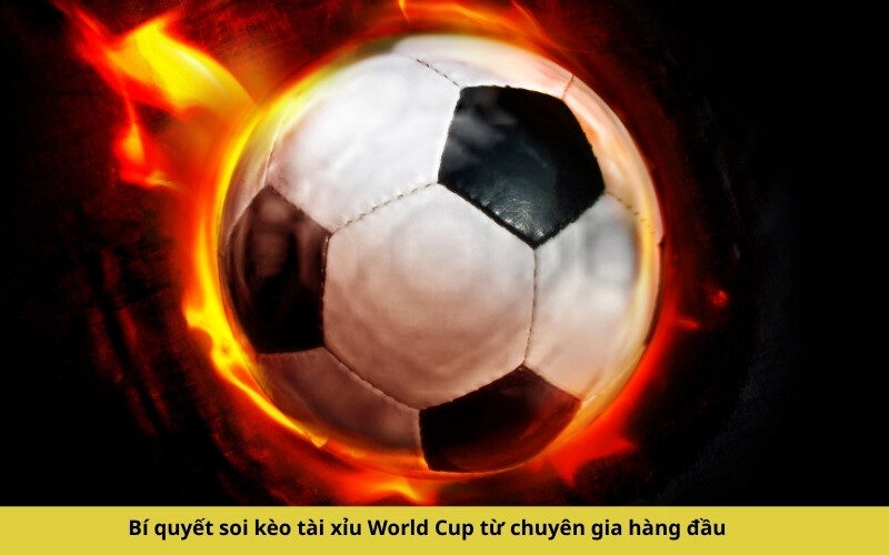Bí quyết soi kèo tài xỉu World Cup từ chuyên gia hàng đầu