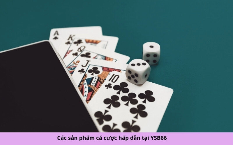 Các sản phẩm cá cược hấp dẫn tại YSB66