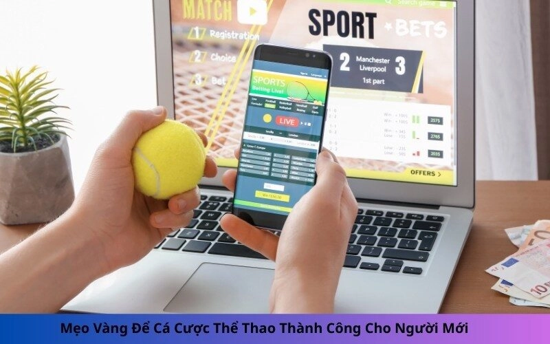 Mẹo Vàng Để Cá Cược Thể Thao Thành Công Cho Người Mới