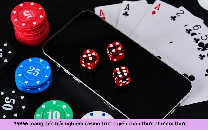 YSB66 mang đến trải nghiệm casino trực tuyến chân thực như đời thực