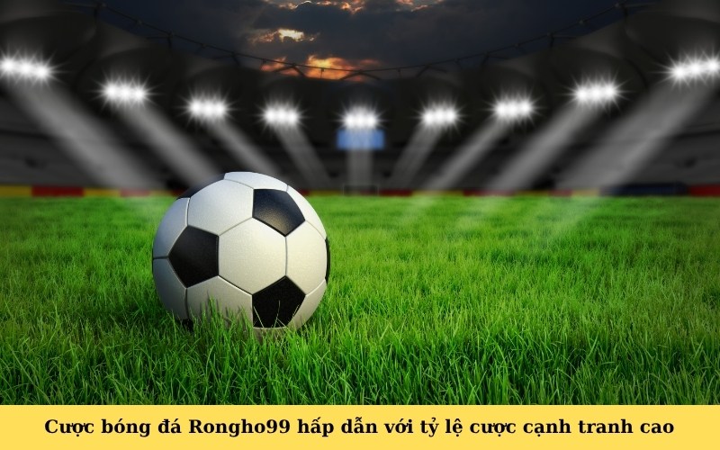Cược bóng đá Rongho99 hấp dẫn với tỷ lệ cược cạnh tranh cao